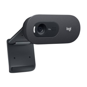 Logitech C505 - Webcam - colour