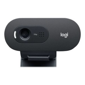 Logitech C505e - Webcam - colour