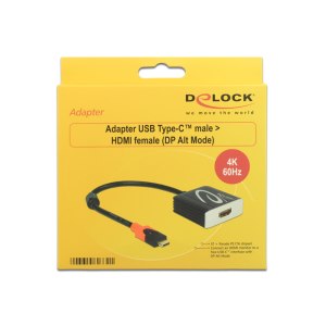 Delock External video adapter