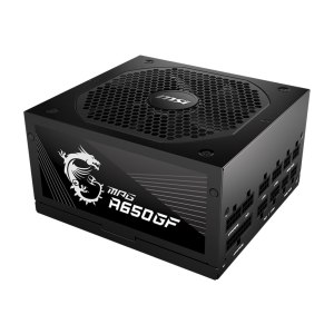 MSI MPG A650GF - Power supply (internal)