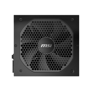 MSI MPG A650GF - Power supply (internal)