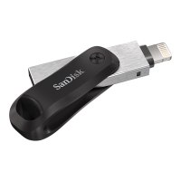 SanDisk SDIX60N-128G-GN6NE - 128 GB - 3.2 Gen 1 (3.1 Gen 1) - Girevole - Grigio - Argento