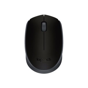 Logitech M171 - Maus - rechts- und linkshändig - kabellos - 2.4 GHz - kabelloser Empfänger (USB)