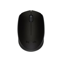 Logitech M171 - Maus - rechts- und linkshändig - kabellos - 2.4 GHz - kabelloser Empfänger (USB)