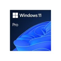 Microsoft Windows 11 Pro - Lizenz - 1 Lizenz - ESD - National Retail, 64-bit