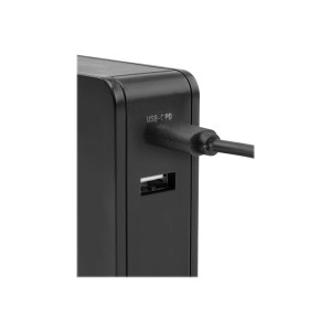 Ansmann 254PD - Netzteil - 60 Watt - PD, QC 3.0 - 2 Ausgabeanschlussstellen (USB, 24 pin USB-C)