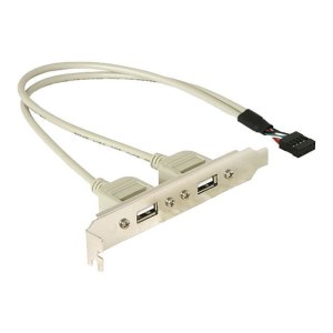 Delock USB panel - 10 pin USB header (M) to USB (F)