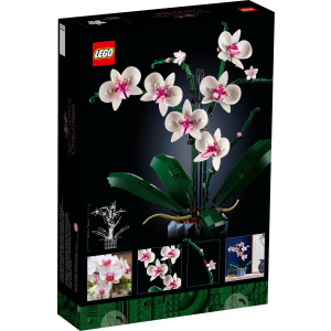 LEGO Creator Botanicals Collection Orchidee 10311