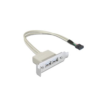 Delock Slot bracket - USB cable