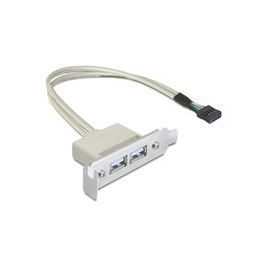 Delock Slot bracket - USB-Kabel - USB (W) zu 9-poliger...