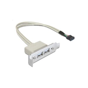 Delock Slot Bracket USB Cable - USB to 9-pin Header