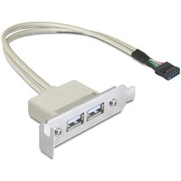 Delock Slot bracket - USB-Kabel - USB (W) zu 9-poliger USB-Header (W)