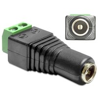 Delock Adapter DC 2.1 x 5.5 mm female > Terminal Block