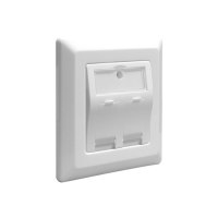 DeLOCK Keystone Wall Outlet - Wanddose - weiß, RAL 9010 - 2 Ports