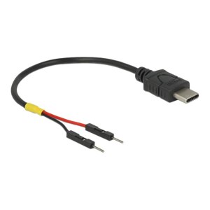 Delock USB- / Stromkabel - 24 pin USB-C (M)
