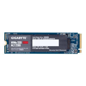 Gigabyte SSD - 256 GB - internal