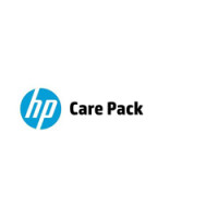 HP Electronic HP Care Pack Software Technical Support