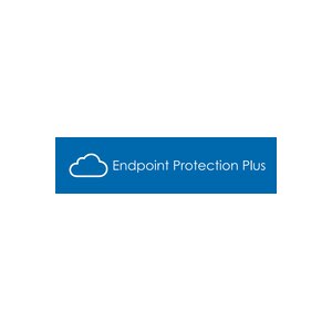 WatchGuard WGEPL091 - 3000 licenza/e - 1 anno/i