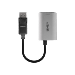 Lindy Adapter cable - USB-C (power only), DisplayPort to...