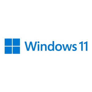 Windows 11 Home - Box-Pack - 1 Lizenz - Flash-Laufwerk -...