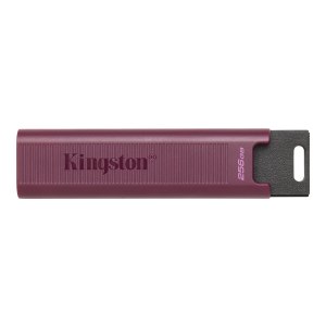 Kingston DataTraveler Max - USB flash drive