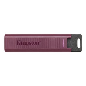 Kingston 512GB USB 3.2 DataTraveler Max Type-A 1000R/900W...