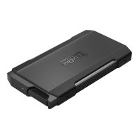 SanDisk Professional PRO-BLADE TRANSPORT - SSD - 1 TB - extern (tragbar)