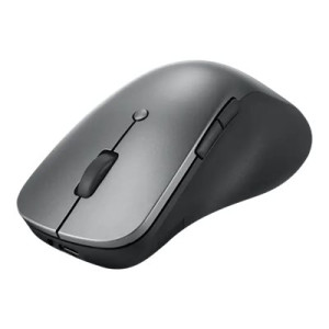 Lenovo Professional - Maus - ergonomisch - optisch blau