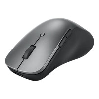 Lenovo Professional - Maus - ergonomisch - optisch blau