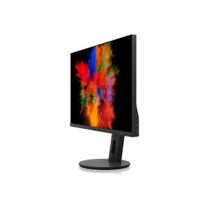 Fujitsu P2711 TS QHD - LED-Monitor - 68.5 cm (27")