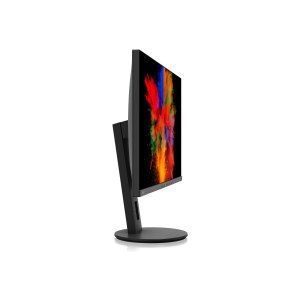 Fujitsu P2711 TS QHD - LED-Monitor - 68.5 cm (27")