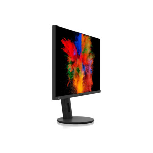 Fujitsu P2711 TS QHD - LED-Monitor - 68.5 cm (27")