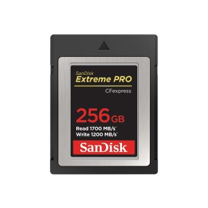 SanDisk SDCFE-256G-GN4NN - 256 GB - CFexpress - 1700 MB/s...