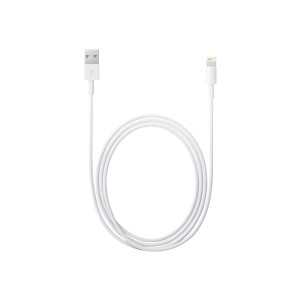 Apple Lightning cable - Lightning (M) to USB (M)