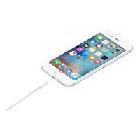 Apple Lightning cable - Lightning (M) to USB (M)