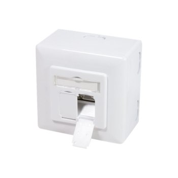 LogiLink - Anschlussdose, Unterputz - Oberfläche montierbar, geeignet für Wandmontage - RJ-45 X 2 - RAL 9003, Signal White