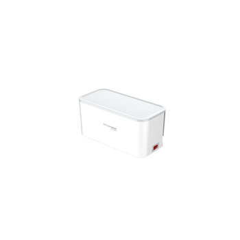 RealPower PowerBox 522