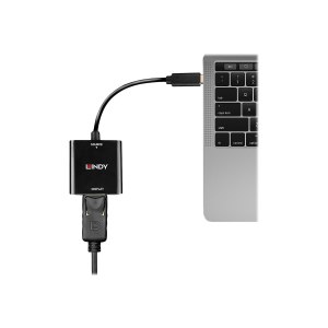 Lindy Videoadapter - 24 pin USB-C (M) zu DisplayPort (W)