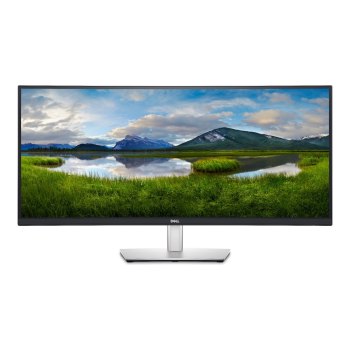 Dell P3424WE - LED-Monitor - gebogen - 86.4 cm (34")