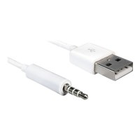 Delock Lade-/Datenkabel - USB männlich zu mini-phone stereo 3.5 mm männlich - 1 m - weiß - für Apple iPod shuffle (1G, 2G)