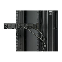 APC Basic Rack PDU - Power Distribution Unit (rack mountable)