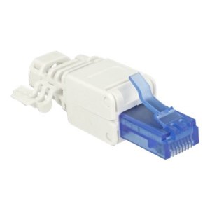 Delock Netzwerkanschluss - RJ-45 (M) - UTP - CAT 6a -...