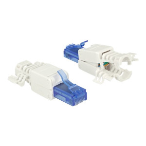 Delock Netzwerkanschluss - RJ-45 (M) - UTP - CAT 6a -...