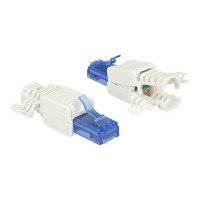 Delock Netzwerkanschluss - RJ-45 (M) - UTP - CAT 6a - (Anzahl pro Packung: 2)