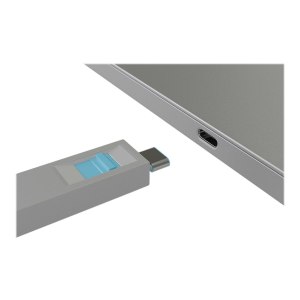 Lindy Schloss für USB-C-Port - Blau