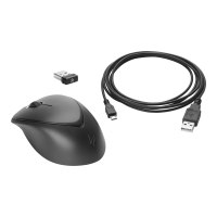 HP Premium Mouse - Ambidextrous - Laser - 3 Buttons - Cordless - 2.4 GHz - USB Wireless Receiver