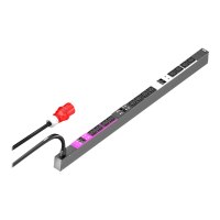 Rittal PDU Basic - Stromverteilungseinheit - Wechselstrom 400 V - 22 kW - 3 Phasen - Ausgangsanschlüsse: 12 (12 x IEC 60320 C19) - 0U - 3 m Schnur