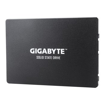 Gigabyte SSD - 256 GB - internal