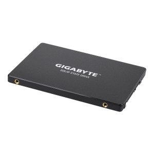 Gigabyte SSD - 256 GB - internal