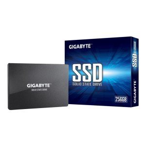 Gigabyte SSD - 256 GB - internal